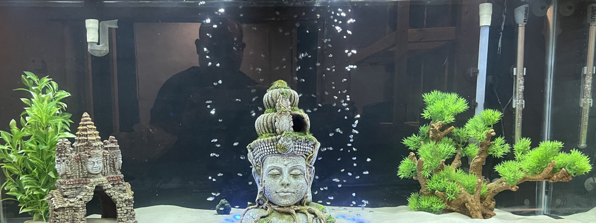 aquarium Karl