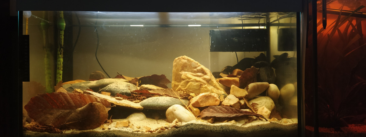 aquarium Tarakan