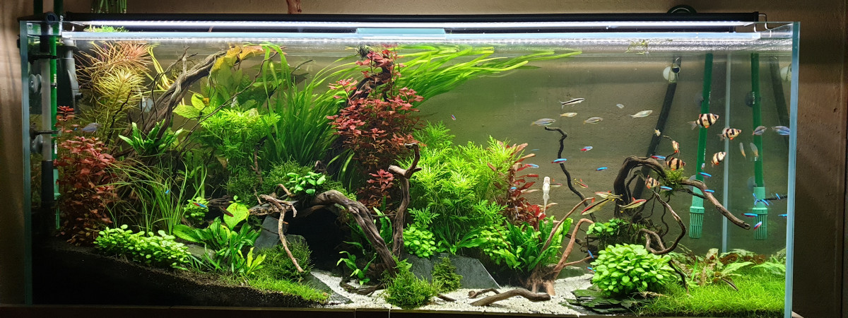 aquarium 1m50
