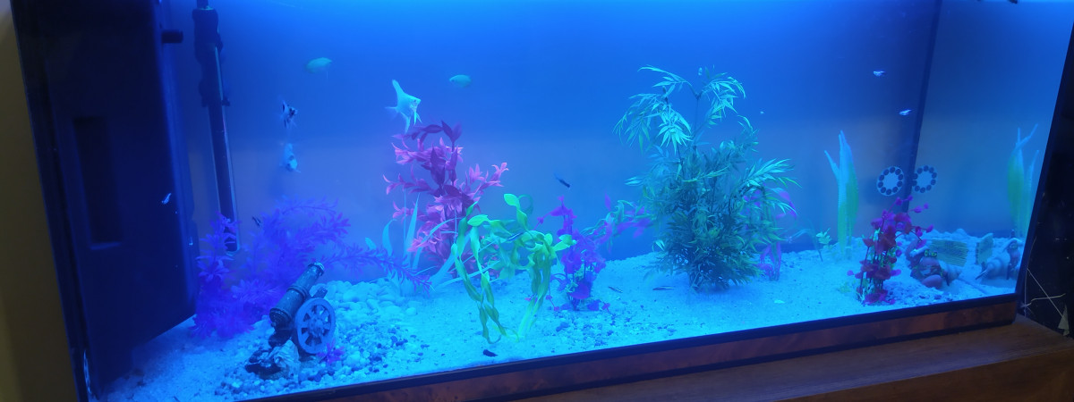 aquarium Mathias