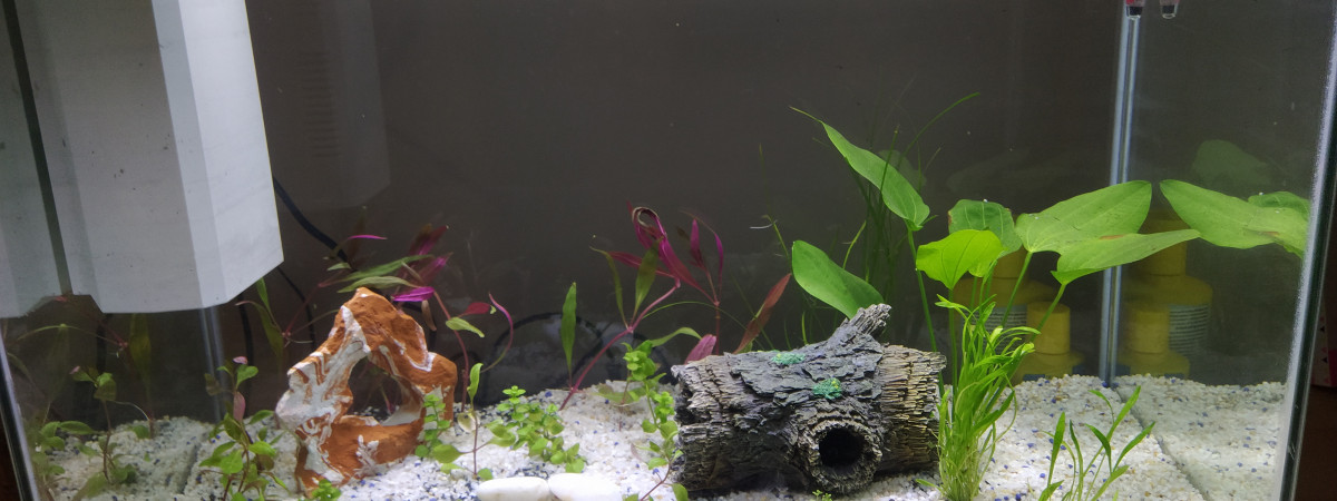aquarium Premier aqua