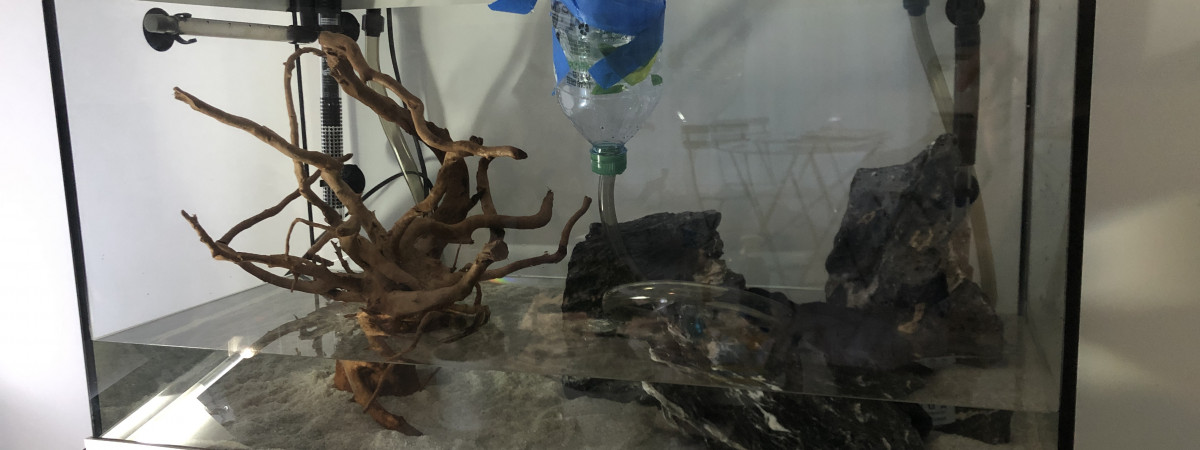 aquarium Perfect start
