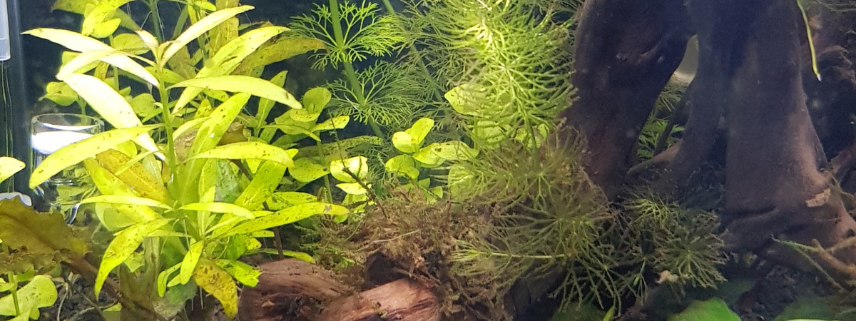 aquarium Nano 30L