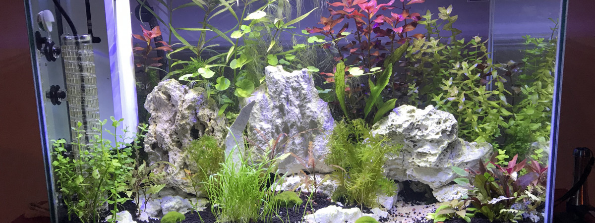 aquarium Home110