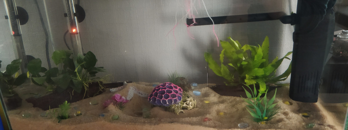 aquarium aqua 60 led