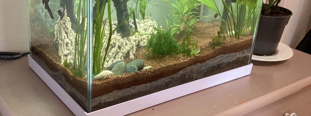 aquarium White