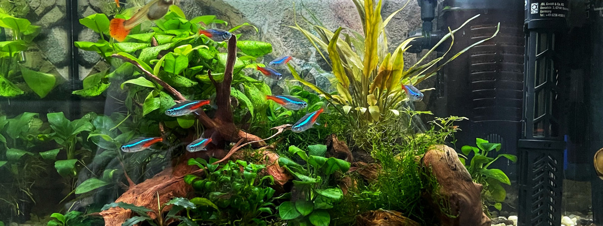 aquarium ZOLUX NANOLIFE 18L