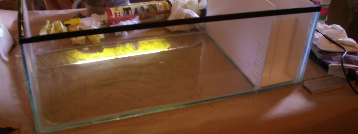 aquarium Nurserie pépinière