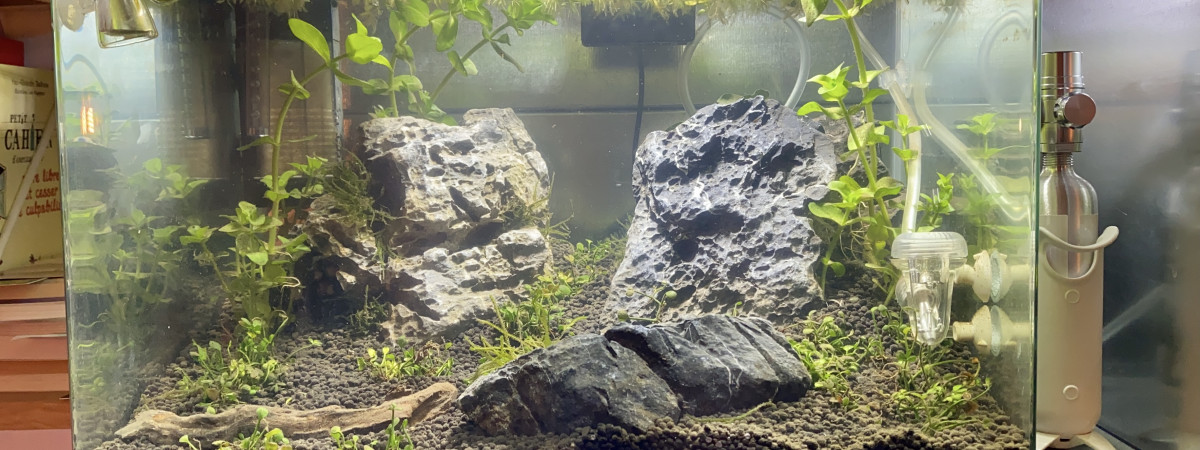 aquarium Dennerle 35L