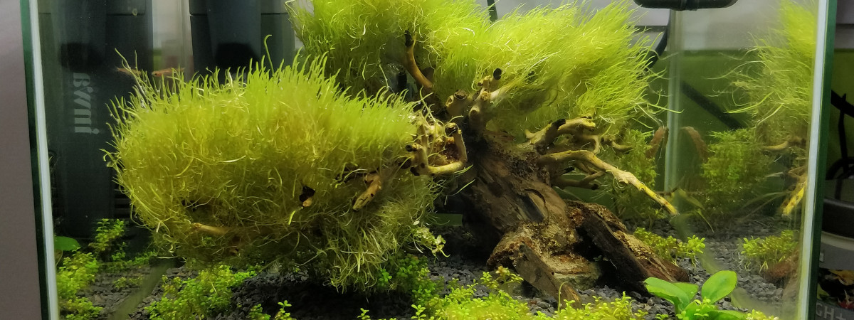 aquarium Nano 15L