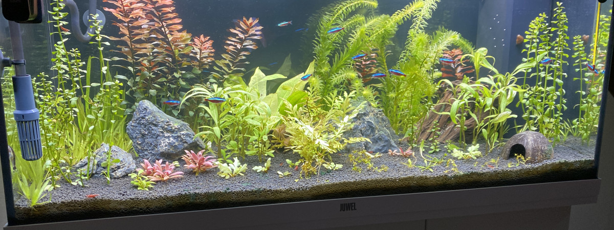 aquarium Juwel Rio 180L