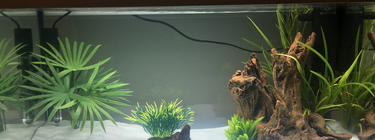 aquarium Communautaire