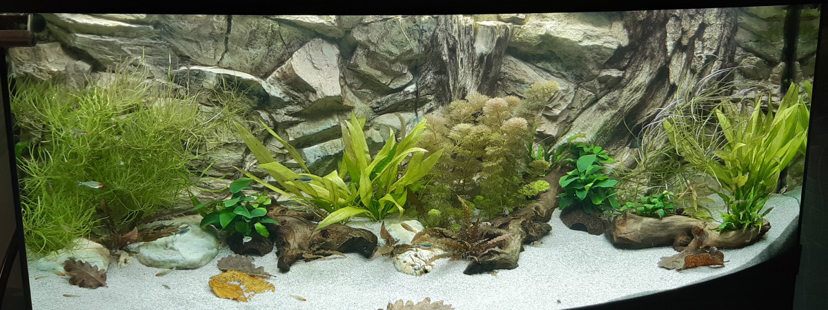 aquarium JUWEL VISION 450