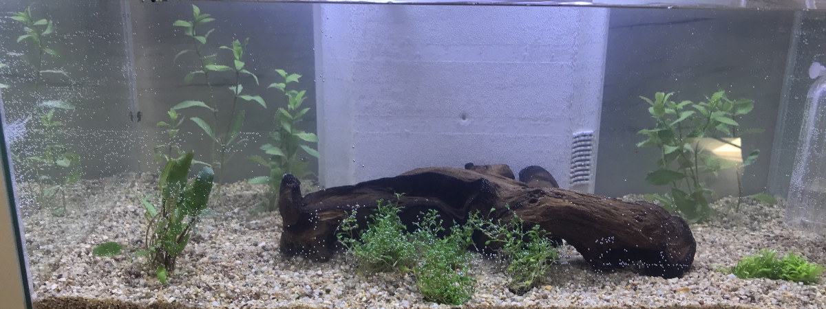 aquarium Nano