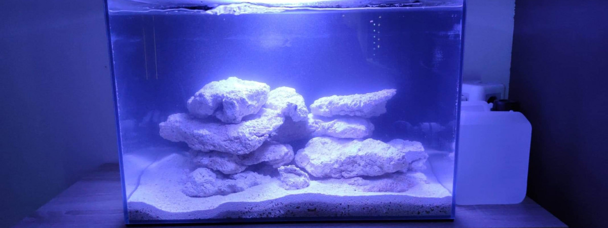 aquarium Eau de mer 86L brut