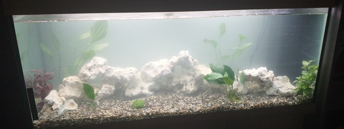 aquarium Cath712