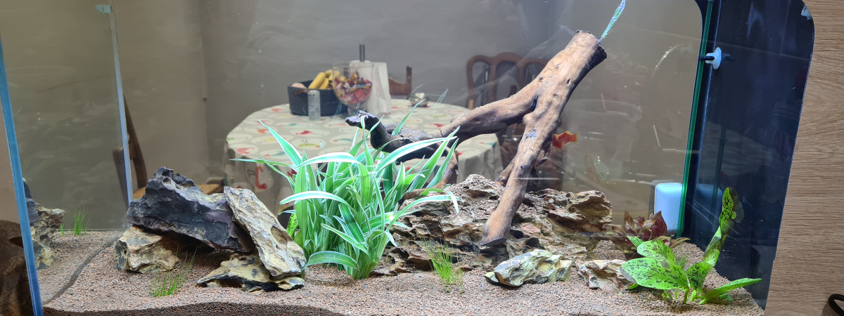 aquarium Communautaire