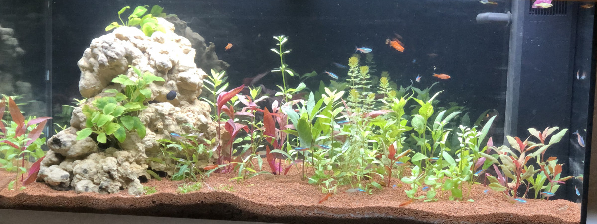 aquarium Rio 180