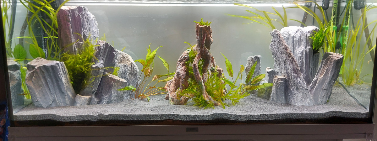aquarium Rio 240