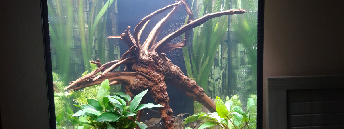 aquarium Tower