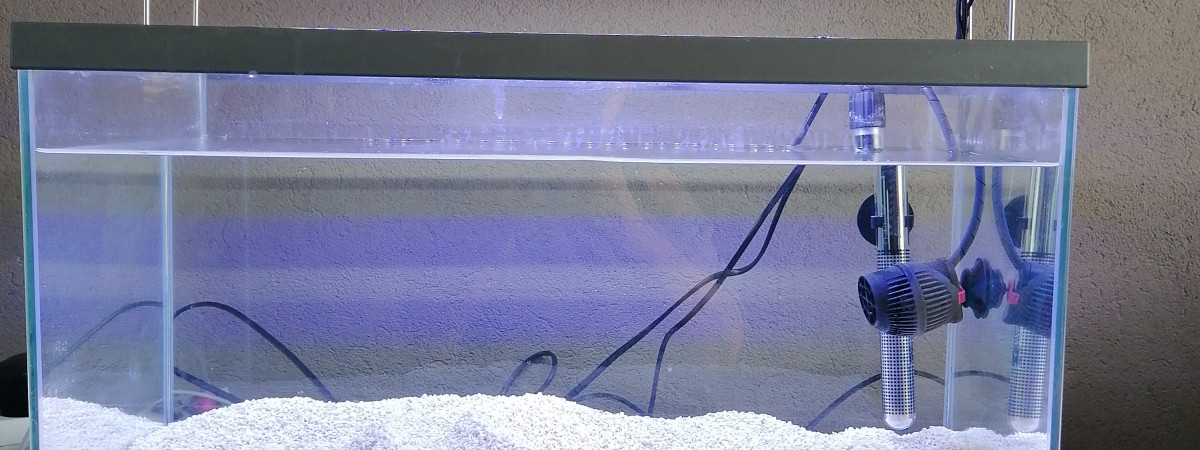 aquarium Nano recifal