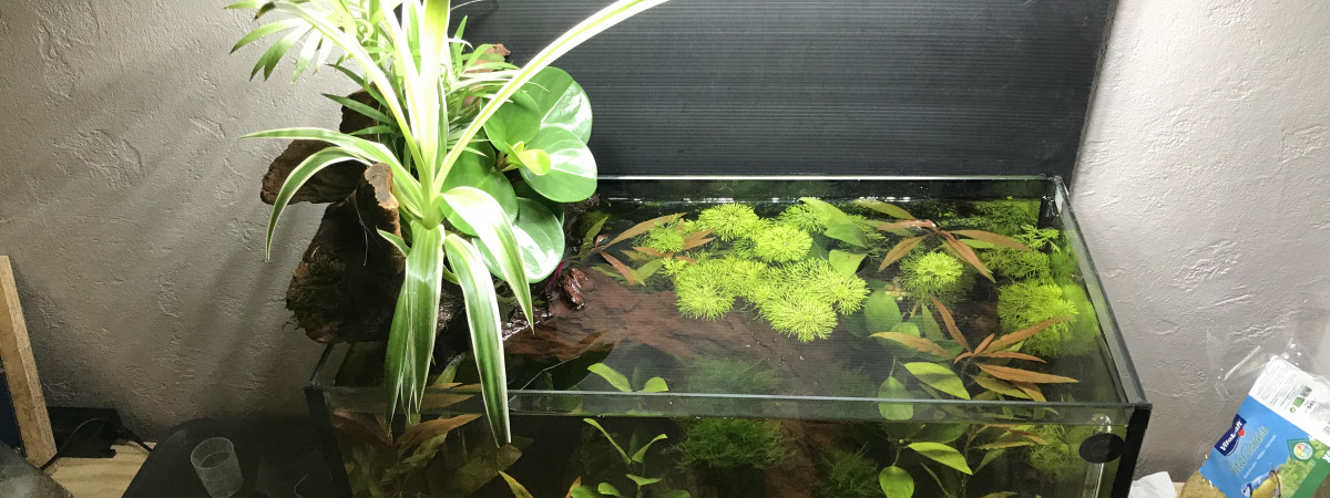 aquarium Nano 35