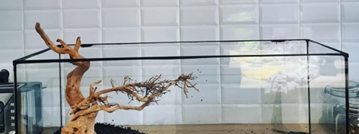 aquarium 80l