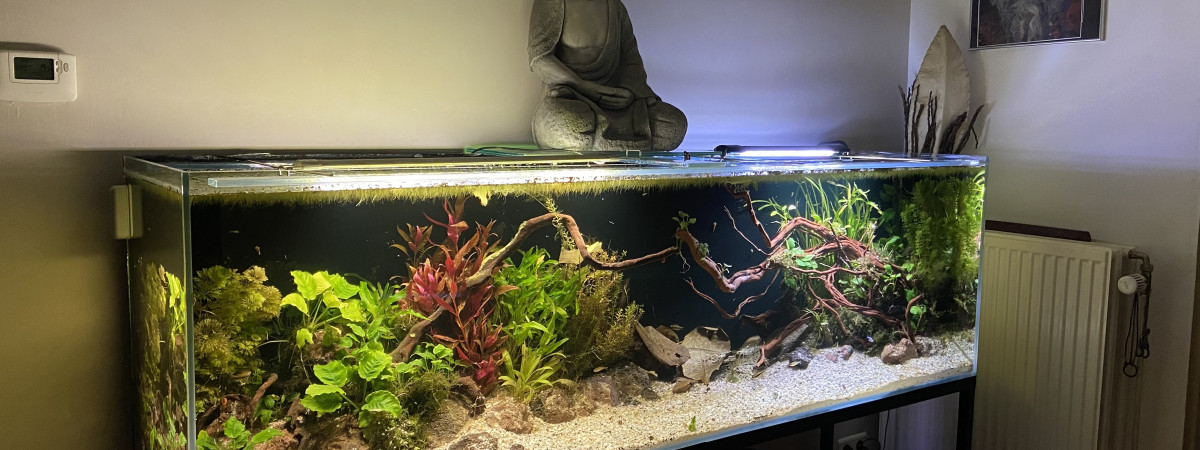 aquarium 600l