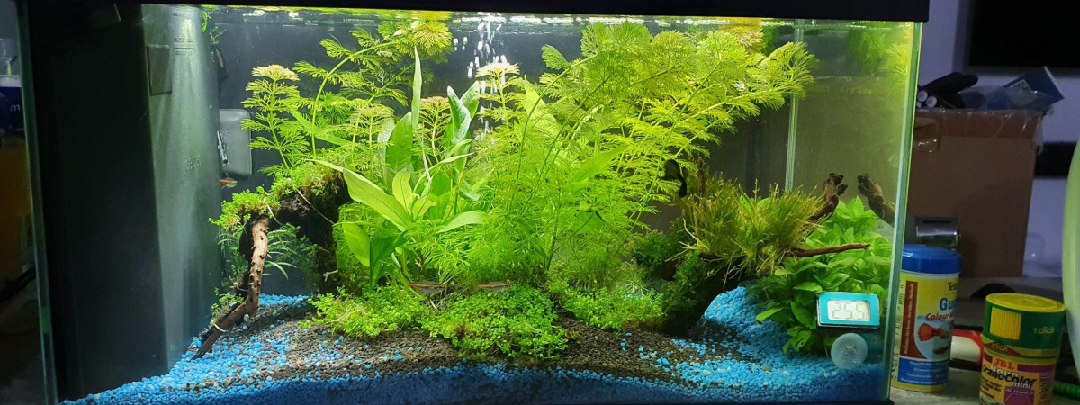 aquarium Salon 48L