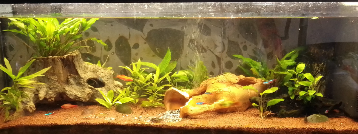 aquarium 120L