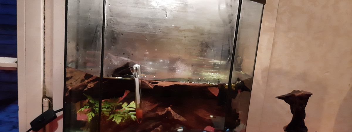 aquarium Bac hopital