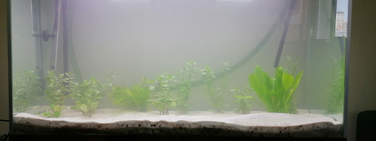 aquarium Premier 240L