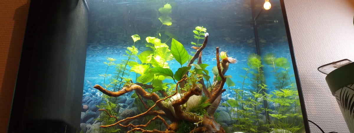 aquarium Aquariumzak