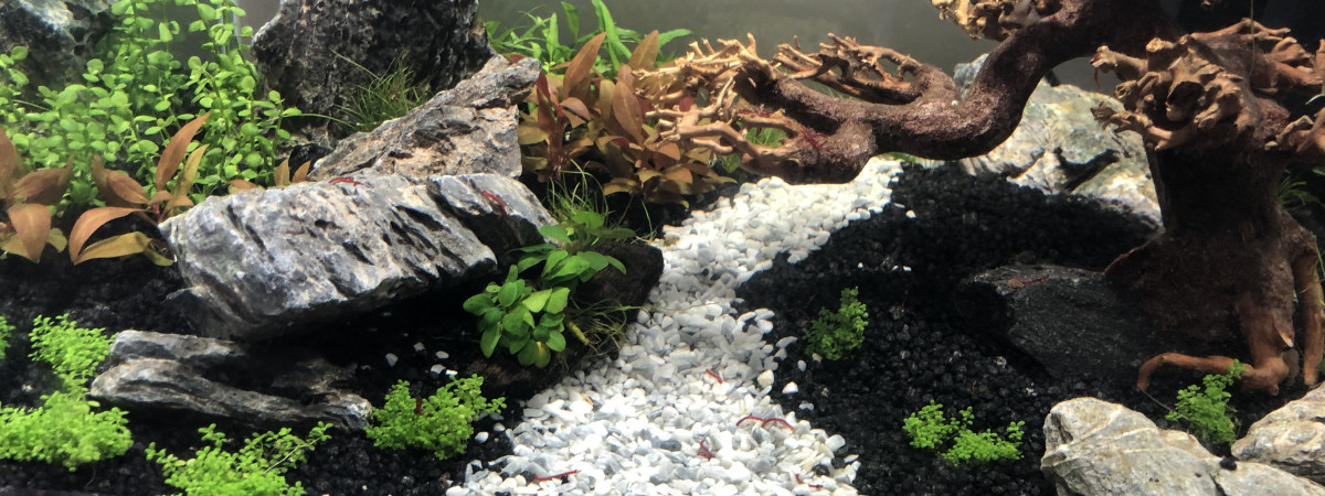 aquarium Nano