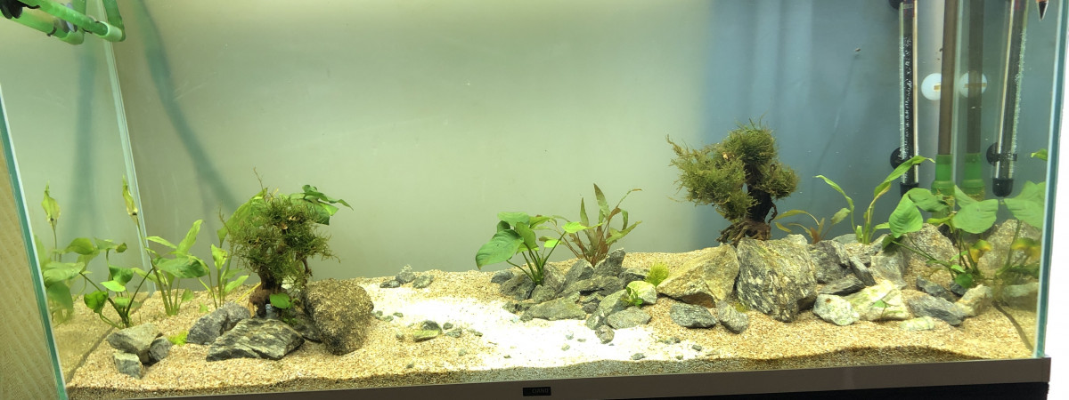 aquarium Ciano