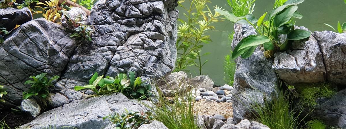 aquarium AQUASCAPING