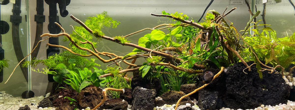 aquarium AQUAEL LEDDY  60