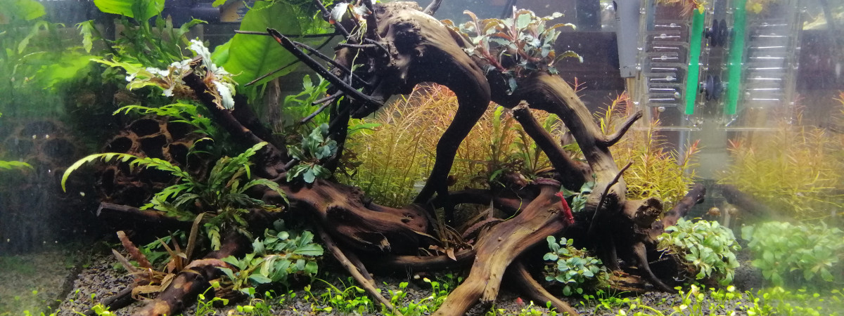 aquarium Nano 35L