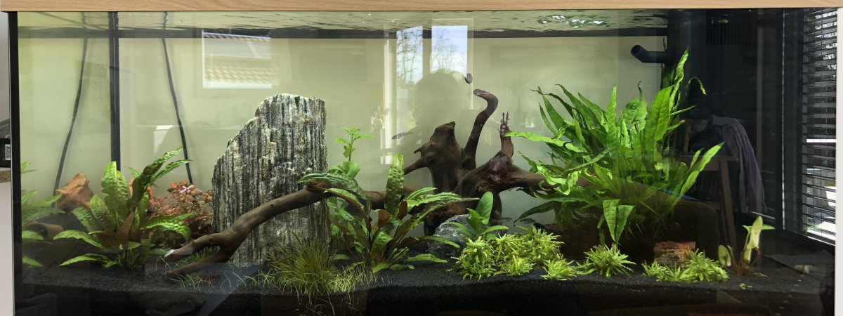 aquarium Jbs aquarium