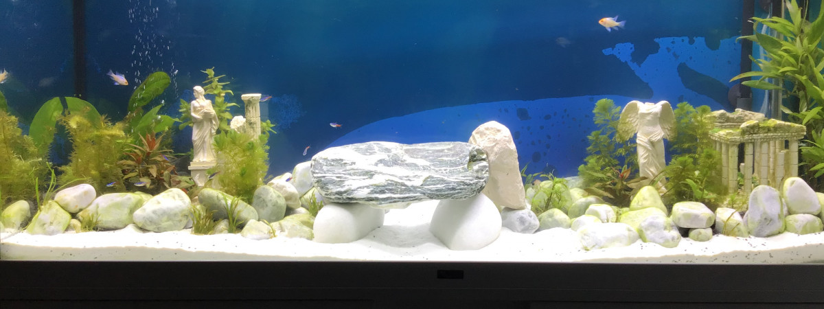 aquarium Blanc300