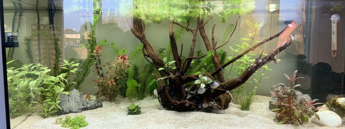 aquarium Rio