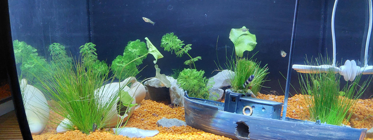 aquarium fluval flex 57