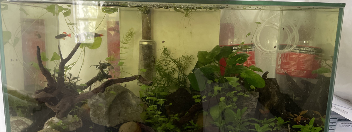 aquarium Couloir