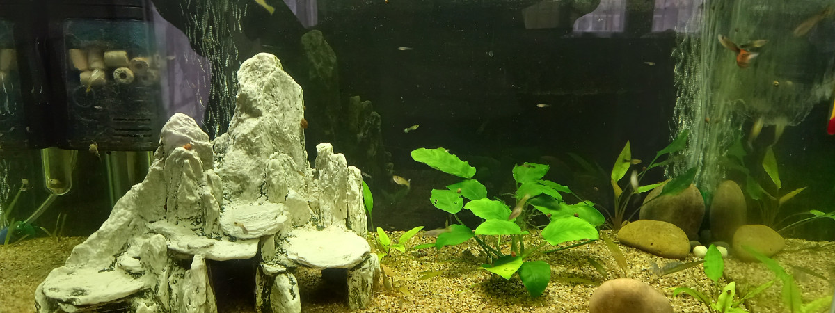 aquarium Bac 80l