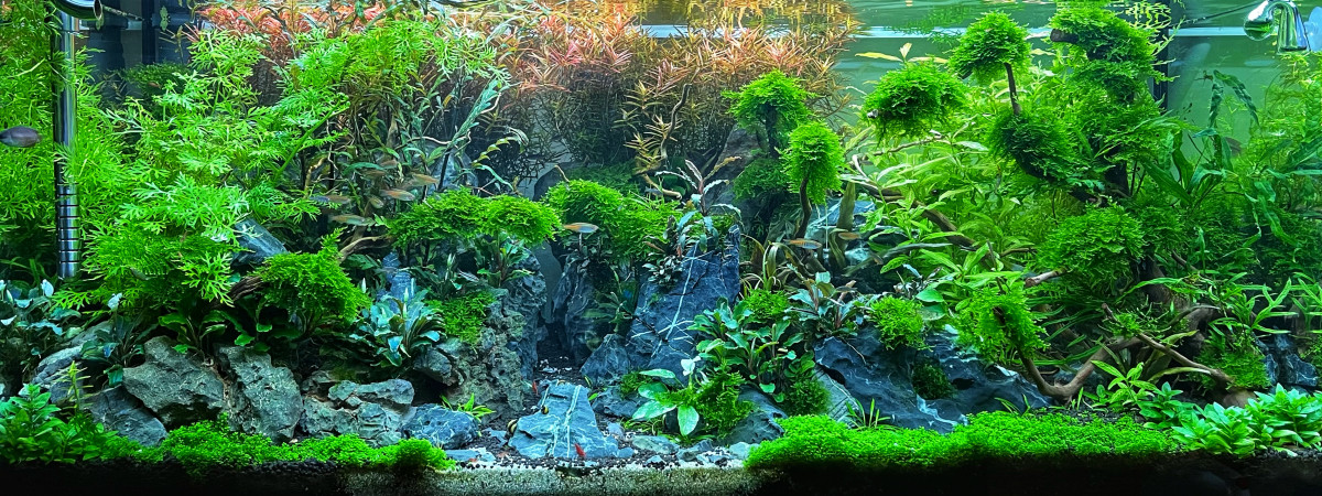 aquarium JUWEL RIO 180