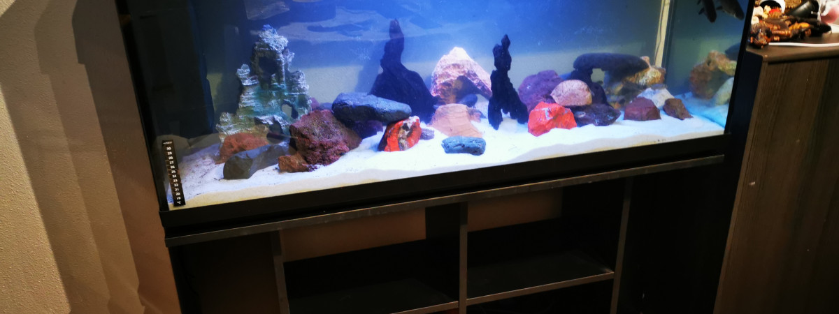 aquarium Cyclide 2.0