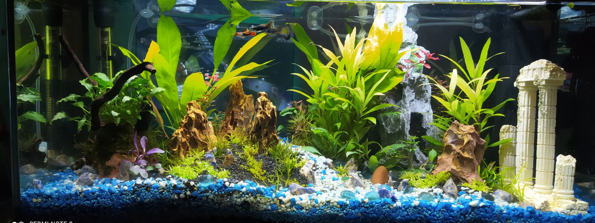 aquarium Aquatlantis