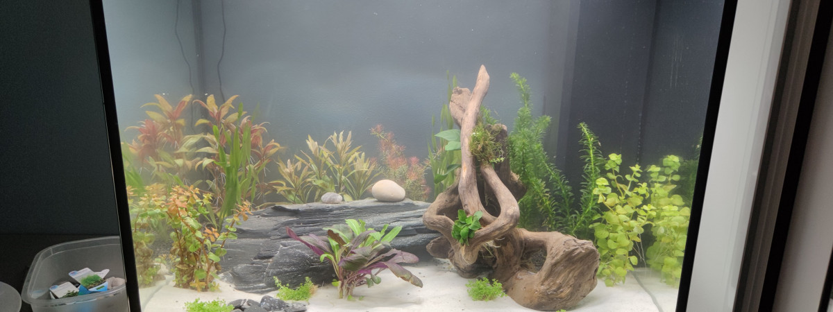 aquarium Lido 120