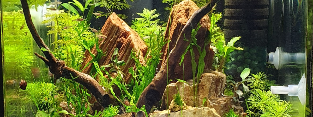 aquarium 3A Blue Bolt 30L