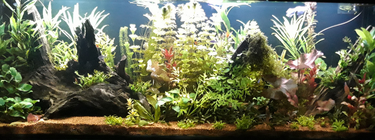 aquarium 400litres